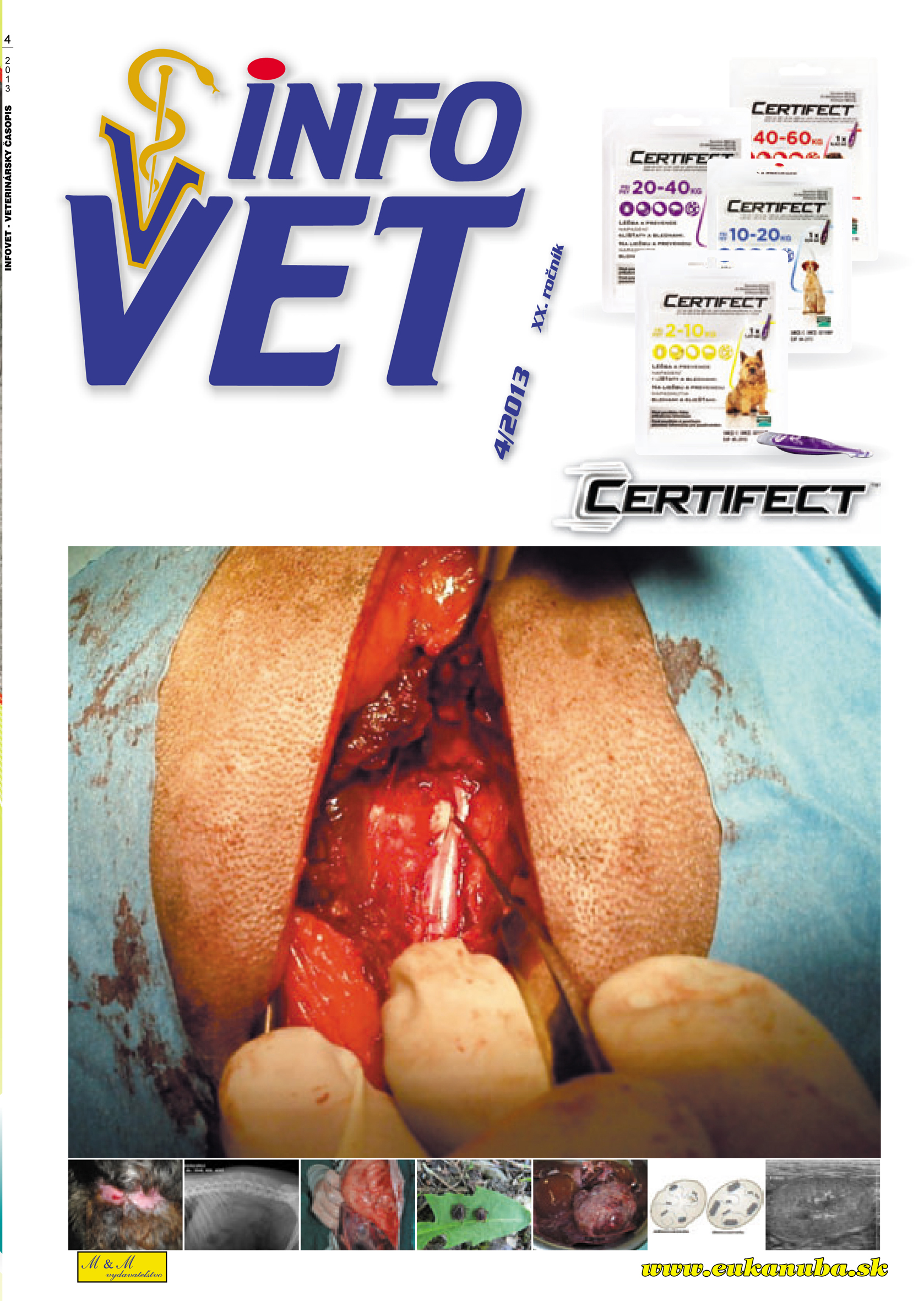 infovet_obalka_4_2013_nahlad-1b
