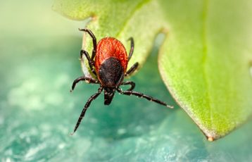 erik-karits-f_oVI_TOgBM-unsplash erik-karits-f_oVI_TOgBM-unsplash